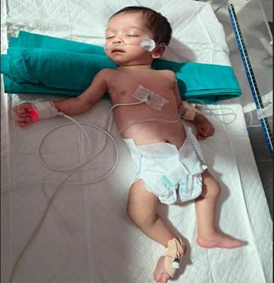 Tulip New Born & Child Care Center & gallery image